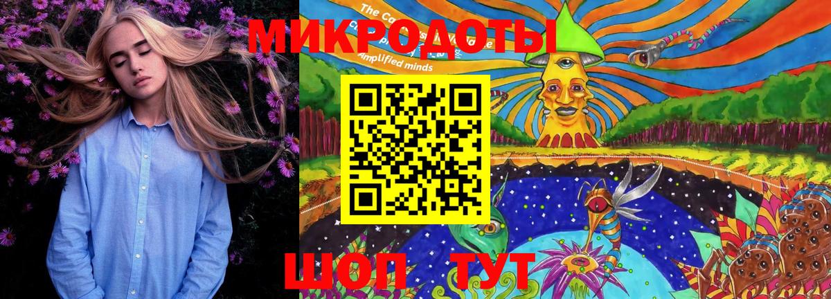 Псилоцибиновые грибы Psilocybine cubensis Санкт-Петербург